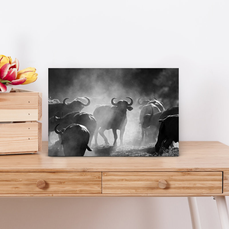 "Dusty Buffalo Herd", art contemporain mural, H 12 po x l 18 po