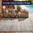 Lolley Abstract Flatweave Sand Ivory Indoor Outdoor Area Rug-1335994901
