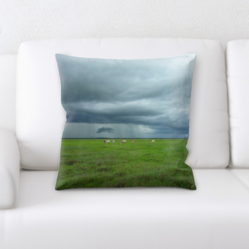 Weinberger Microsuede Throw Pillow