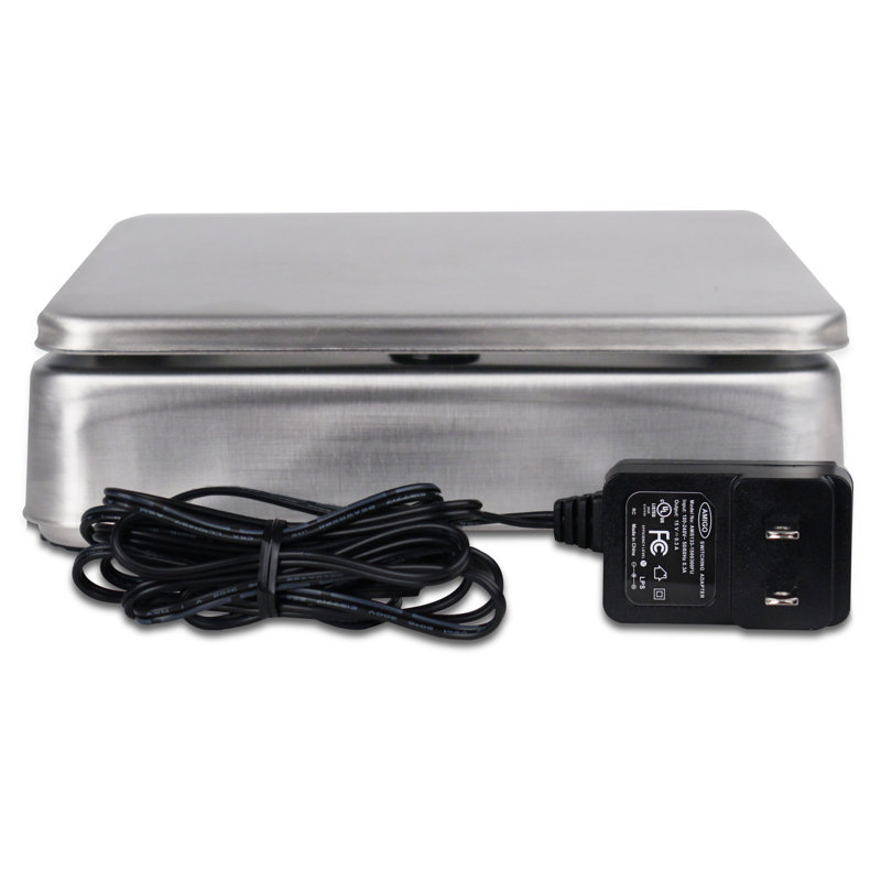 Detecto Digital Scale