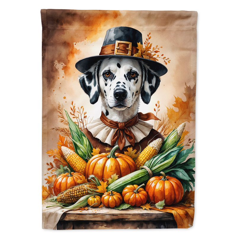 Drapeau du jardin de l'Action de grâce, Dalmatien