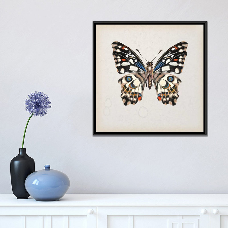 « papillon study ii », impression sur toile, H 18 po x l 18 po x P 1,5 po, Toile avec cadre noir, Pas de tapis