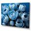 «Azure Blue Tulips Bloom I» sur toile-97030271-97030263