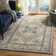 Dostie 100 Performance Oriental Rug