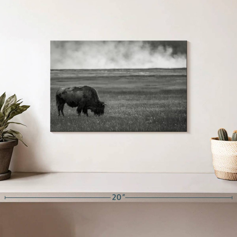 Parc national de Yellowstone, H 8 po x l 12 po
