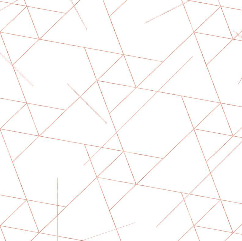 Geometric Vinyl Wallpaper Roll by Jamie Graney, White/Rose Gold Leaf