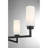 Oreane 4-Light Chandelier in Matte Black-1954205361