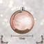 Polyvinyl Chloride (PVC) Ball Ornament-905546836-905546840