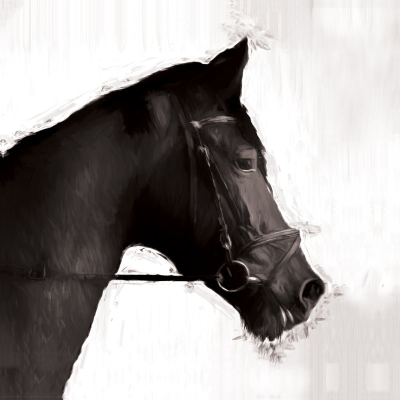 Horse Profile - Wrapped Canvas Painting, 76cm H x 76cm W x 3.8cm D