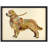" Golden Retriever " by Alex Zeng