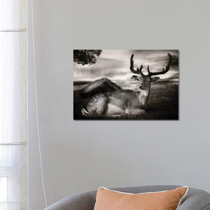 Resting Bambi by Sandra Štimac - Wrapped Canvas Gallery-Wrapped Canvas Giclée, 66.04 cm H x 45.72 cm W x 1.91 cm D