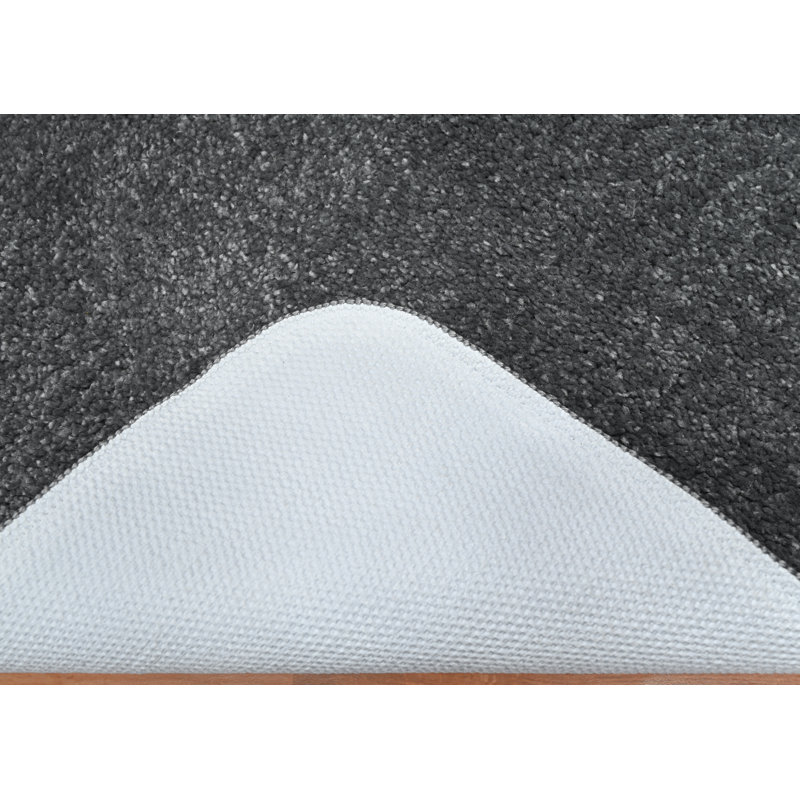 Ensemble de 2 tapis de bain en nylon avec envers antidérapant Felia, Gris cendré
