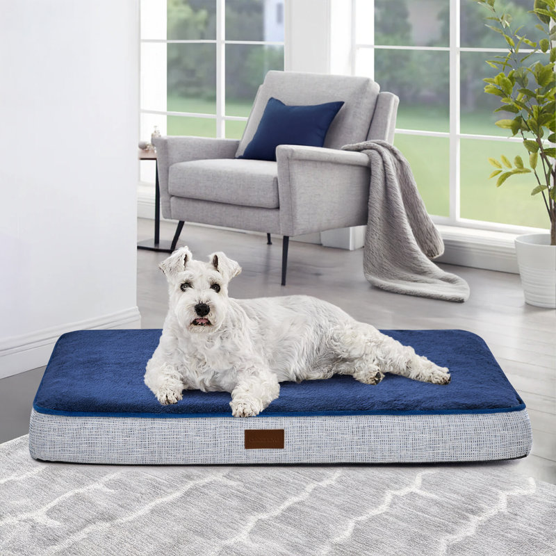 Lit orthopédique pour chien avec tapis antidérapant, H 44 po x l 32 po x P 3 po, Marine