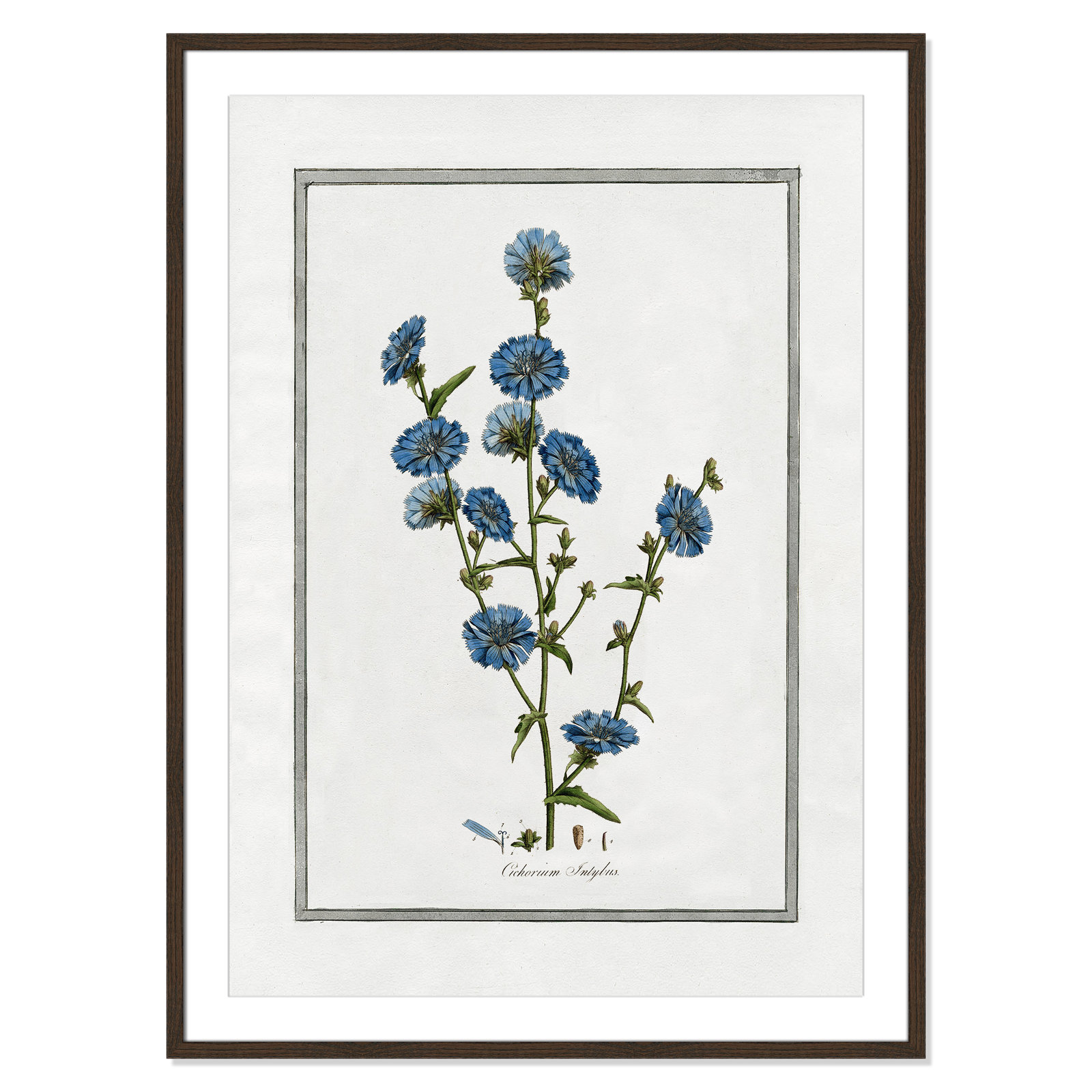 Colombe "Soft Botanical I" Print, 29.5" W x 41.5" H, Walnut Framed