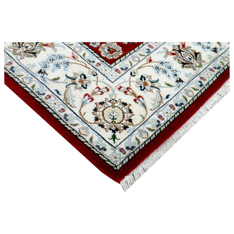 Oriental Area Rug, Rectangle 4' x 6'