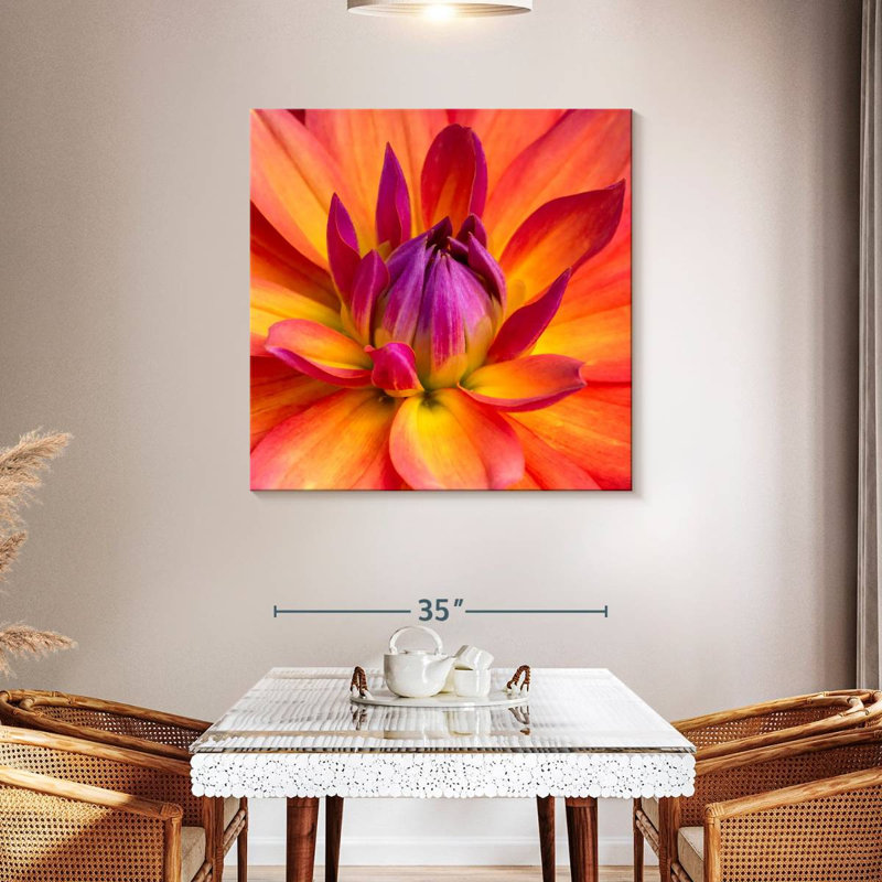 Dahlia Harnek en fleurs