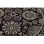 Wool Oriental Area Rug in Wine/Black
