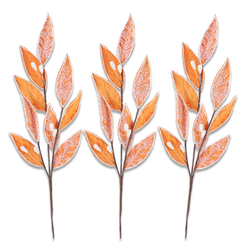 Choix feuillus, Orange