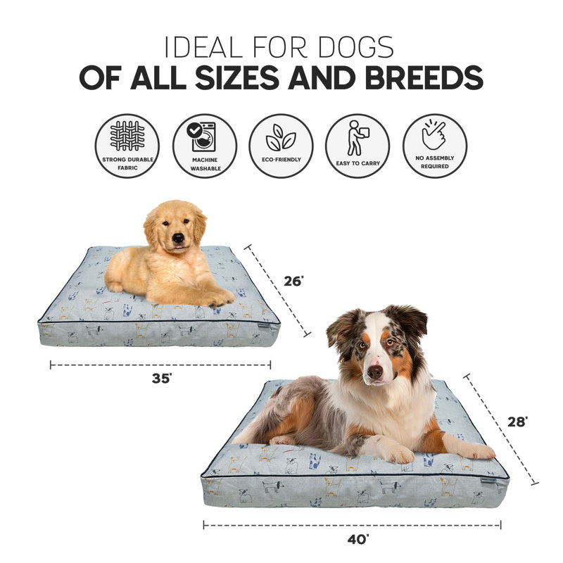 Dog Kennel Dr Foster And Smith Orthopedic Dog Bed Pet Crates Dr