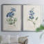 Farmhouse Periwinkle I, toile encadrée de qualité supérieure - prête à être accrochée-368945269-368945270