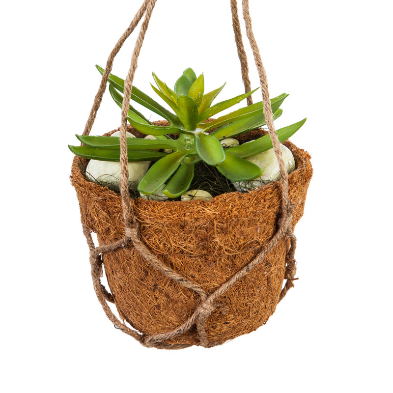 Succulent artificiel 2" en pot