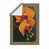 Unframed selected
