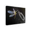 « resting libellule », reproduction de photo sur toile tendue-666105837