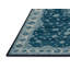 Tapis bleu lavé à la machine