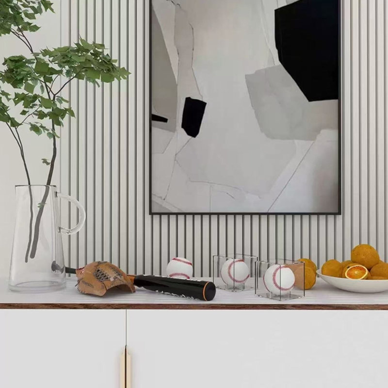 Baseball Display Case