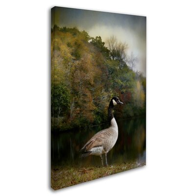 The Canadian Goose' Graphic Art Print on Wrapped Canvas -  Trademark Fine Art, ALI14601-C1624GG