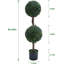 36cm Plant