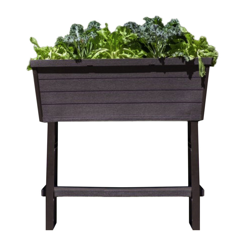 Raised Garden Bed