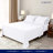 Cotton Blend Sheet Set-53639348-53639351