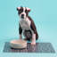 Petsware Dog Bowls-56471315-56471314