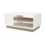 Alleana Block Coffee Table with Storage