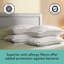 Sealy Anti Allergy PillowS - 4 Pack