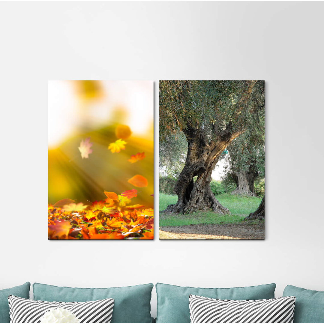 2-tlg. Leinwandbilder-Set - Grafikdruck „Autumn Leaves Old Olive Tree Gold Green Nature”