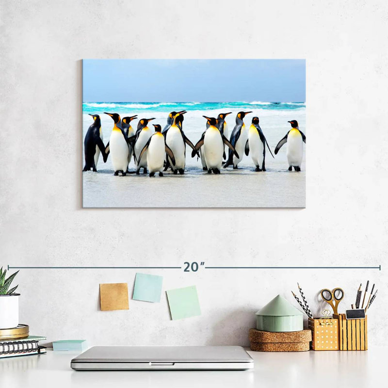 Crowle Penguins aux îles Falkland, H 8 po x l 12 po