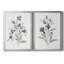 Linen Botanical III - ensemble de 2 reproductions d'art-44249108-44249099-114830213
