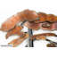 Rusty Bonsai Wall Sculpture