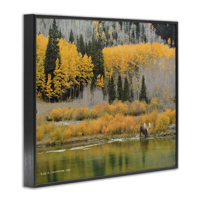 «Moose at Priest Lake», art de la giclée encadrée par Chris Vest