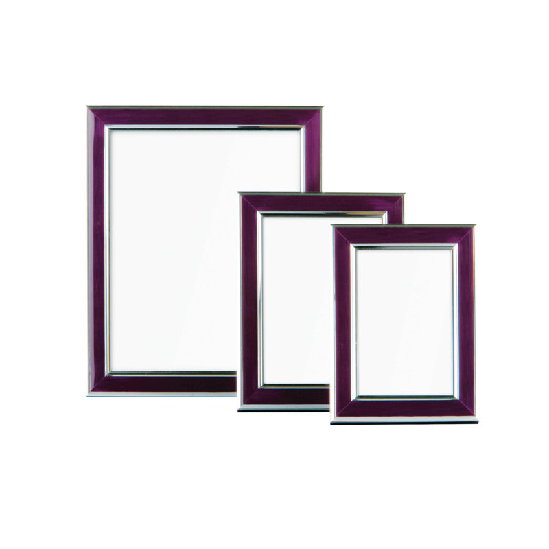 Sascha Picture Frame, Purple and Silver