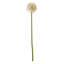 Arrangement-128130313-128130318
