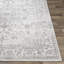 Hinderliter Light Grey/Blue/White Rug-2086949294