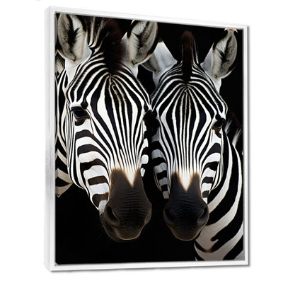 " Black And White Duo Zebra Portrait "