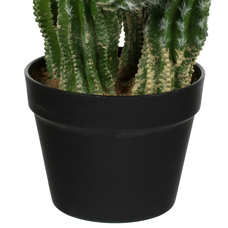 Cactus vert en pot 31 po