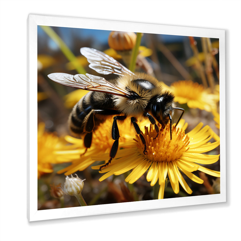 Pollen Fzzy Buzz Bumble Bee - abeille, art mural, Cadre photo blanc, H 36 po x l 36 po x P 1,5 po