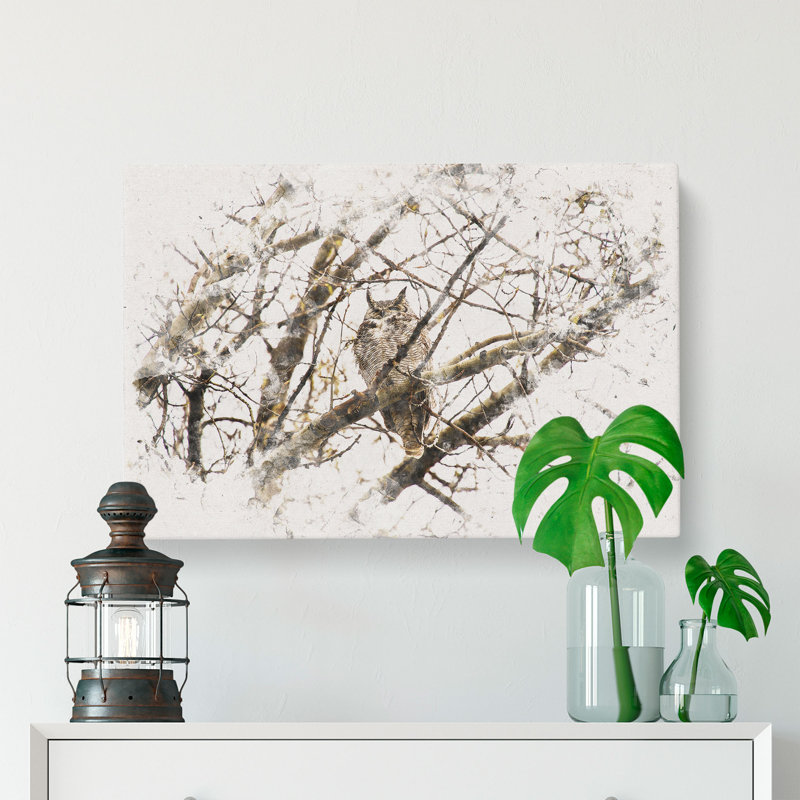Great Horned Owl Resting - Wrapped Canvas, 50cm H x 76cm W x 3cm D