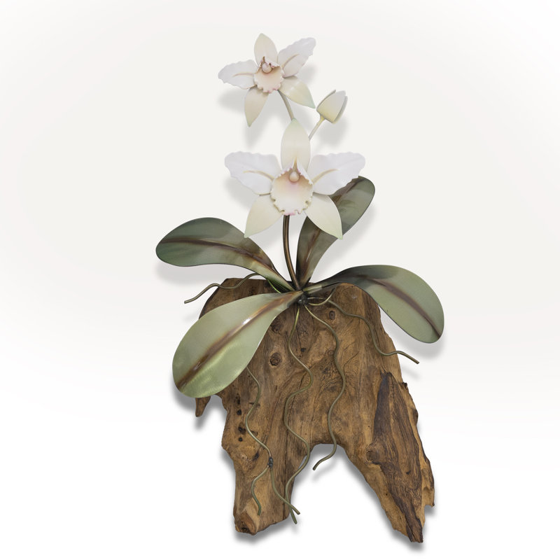 Orchidée blanche Cattelya