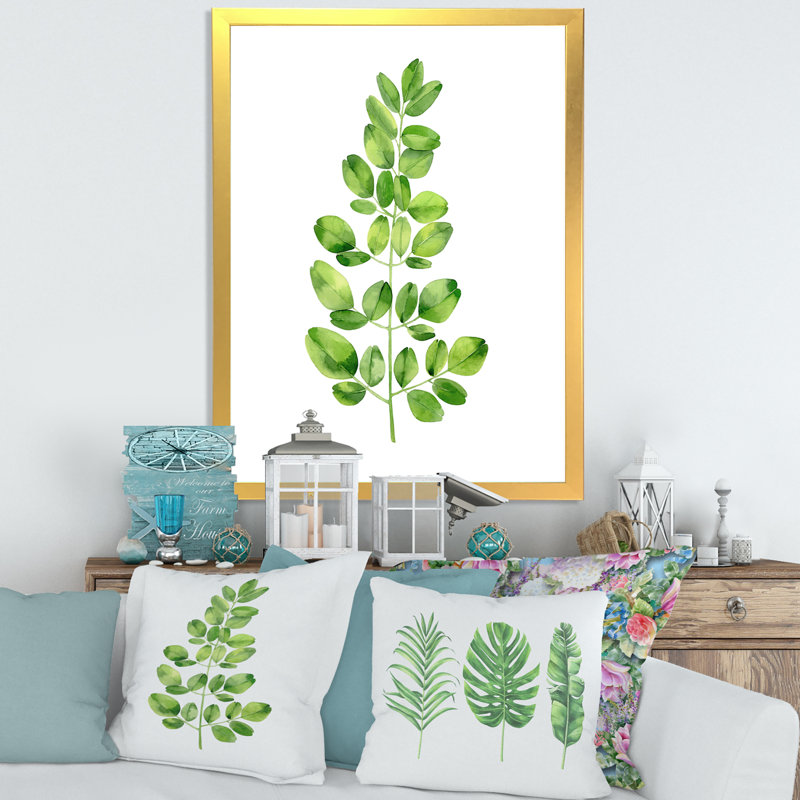 " Moringa Branch Tropical Tree Foliage " Color Photography Print, 40" H x 30" W x 1.5" D, Gold Framed